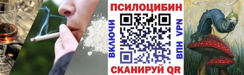 Псилоцибиновые грибы Magic Shrooms Тайга