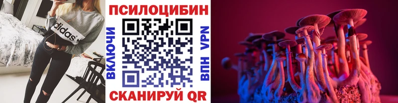 Псилоцибиновые грибы Psilocybe  купить наркоту  Тайга 